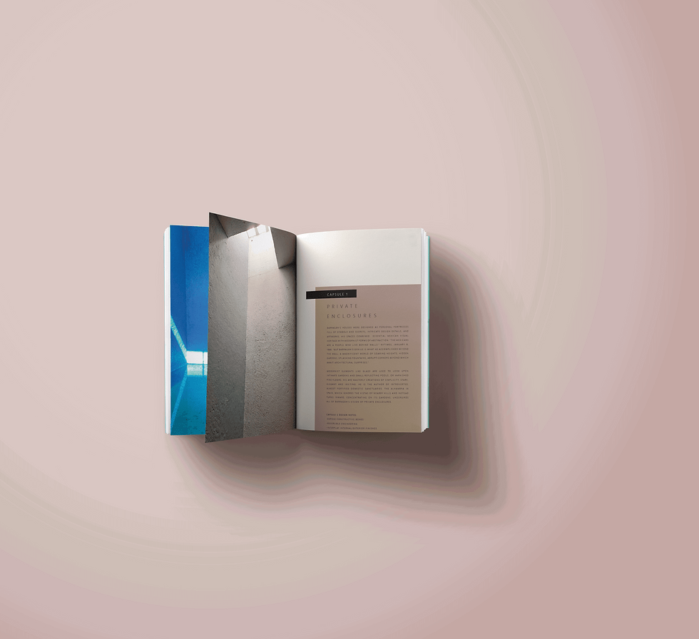 EBLAST BOOK GIF.gif