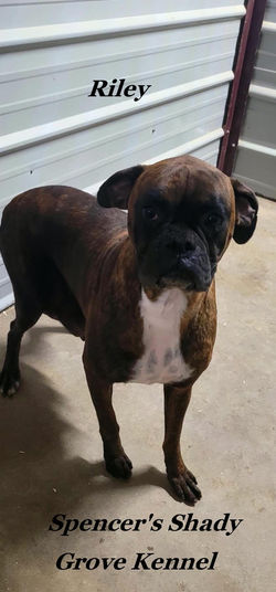 338958763_1903036036718163_3377483887909672799_n