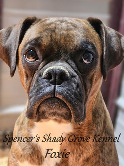 9e9e3f13-8b15-43a7-b0f3-9788bd2e4a01