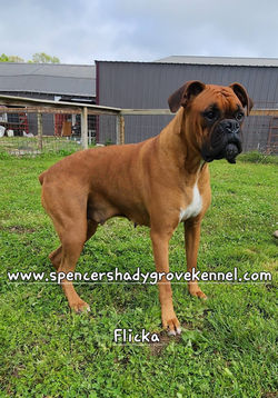 492536153_10228928763346192_8309131417678923381_n