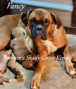 514432591_10229804474878433_1669488225636741006_n