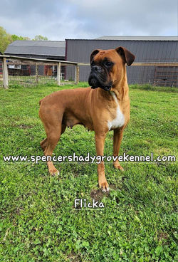 493314662_10228928764866230_527815137173781259_n