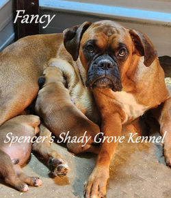 514405223_10229804475398446_255466742306688814_n