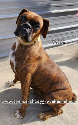 456768136_10226324061030262_4950355291106258808_n