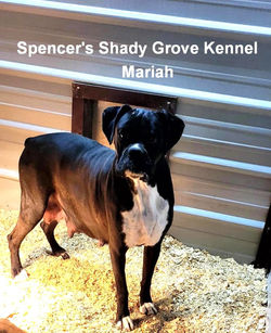 324793423_504878285089651_3088680836748744682_n