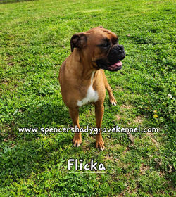 492489135_10228928767346292_1698389993282420246_n