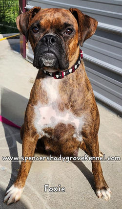 456658765_10226324062950310_877840472985320900_n