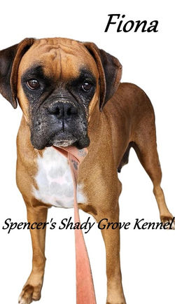 356221591_10224040187014839_1644963584754761682_ne