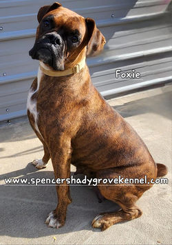 456679107_10226324060270243_8985211053890094589_n