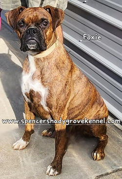 456746465_10226324062070288_725726991260047749_n