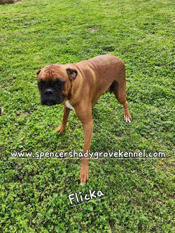 493894647_10228928760866130_7182728045713372732_n