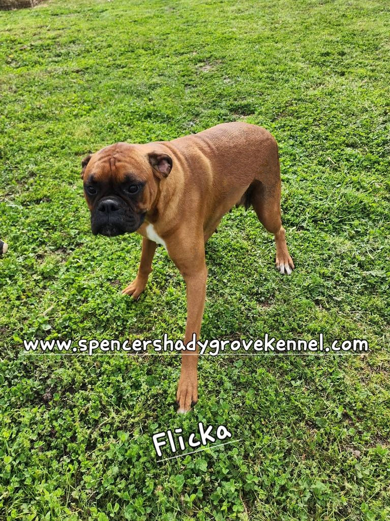 493894647_10228928760866130_7182728045713372732_n