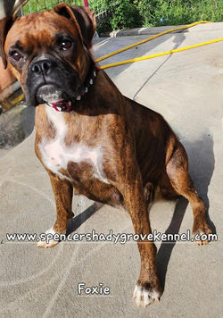 456609972_10226324063470323_487458858723152363_n