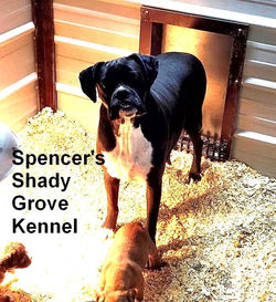 323578787_3442462979376096_8587906842204070141_n