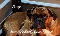 514752045_10229804476518474_1712482526143305586_n