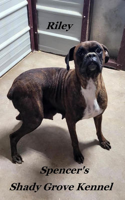 339651762_267107948998568_1672108662572948392_n