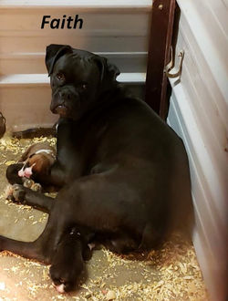 202770903_10220278935105892_7719980567449094239_n