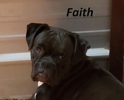 203298549_10220278935665906_4235247034262951524_n