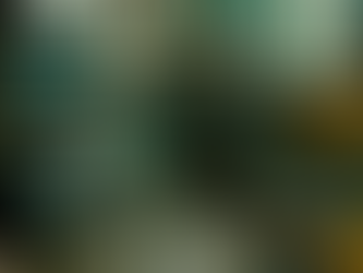 THE WAVES OF THE WEST COAST SOUND OF HOLLAND