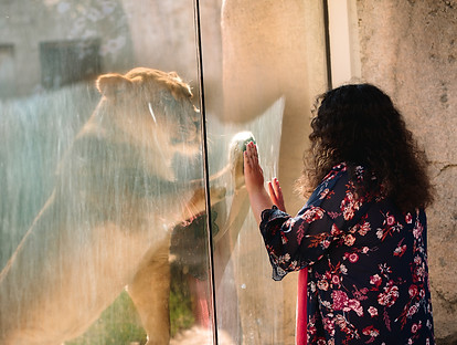 Heartwarming_photo_between_girl_with_Autism_and_Zoo-Line_Touching_Hands_Through_Glass_and_Looking_Into_Each_Other's_Eyes