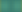 Colchester Carnival Days Website background-01.png