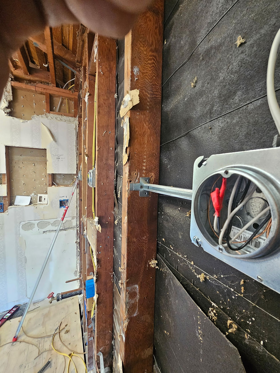20250402_112212.jpg