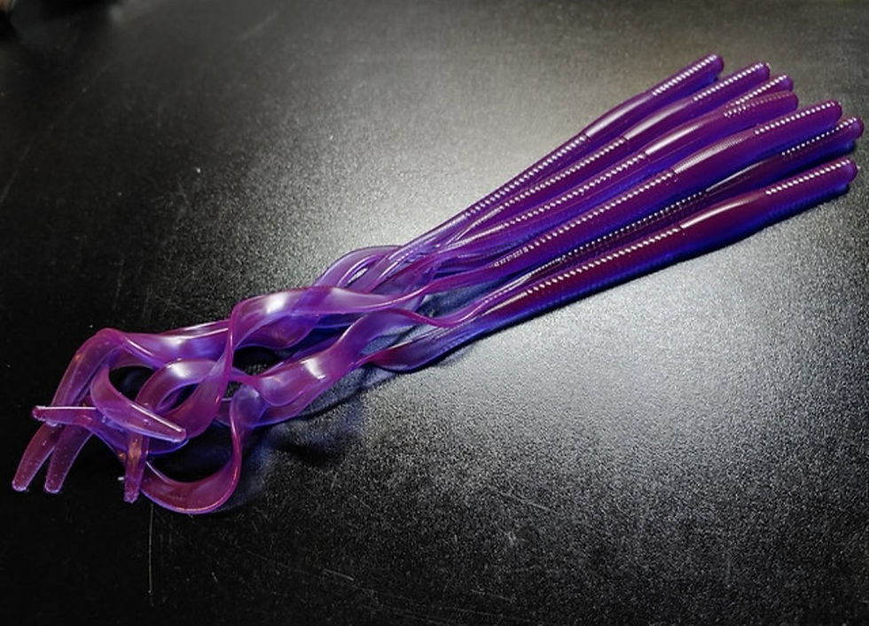 Thumbnail: MAGNUM RIBBONTAIL - STRING BEAN