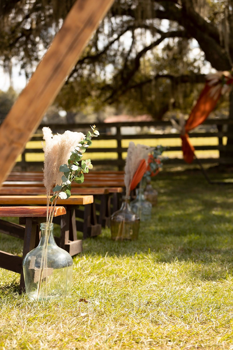 15.481948355_1186540030144832_3696587453545908216_n