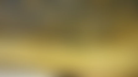 Desassossegos poéticos #13