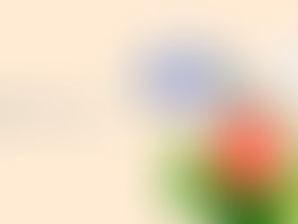 Nên học giao tiếp trước hay TOEIC trước thì hiệu quả?