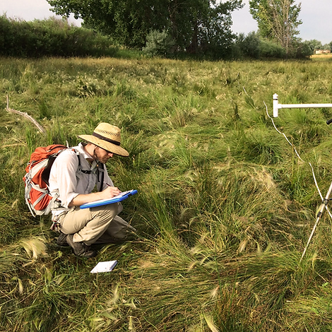 Wetland-delineation_aloterra_1-1.png