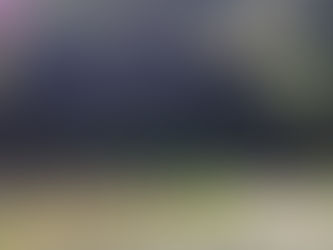 ⚫︎ 修理の隙間に琵琶湖の地層で畑を作る