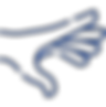 Pele.png