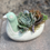 Thumbnail: Songbird Succulent Arrangement