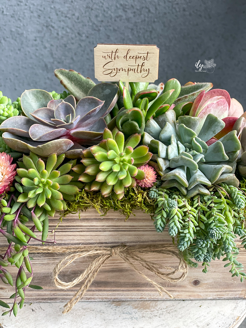 Thumbnail: Send Love Woodland Planter Succulent Arrangement 