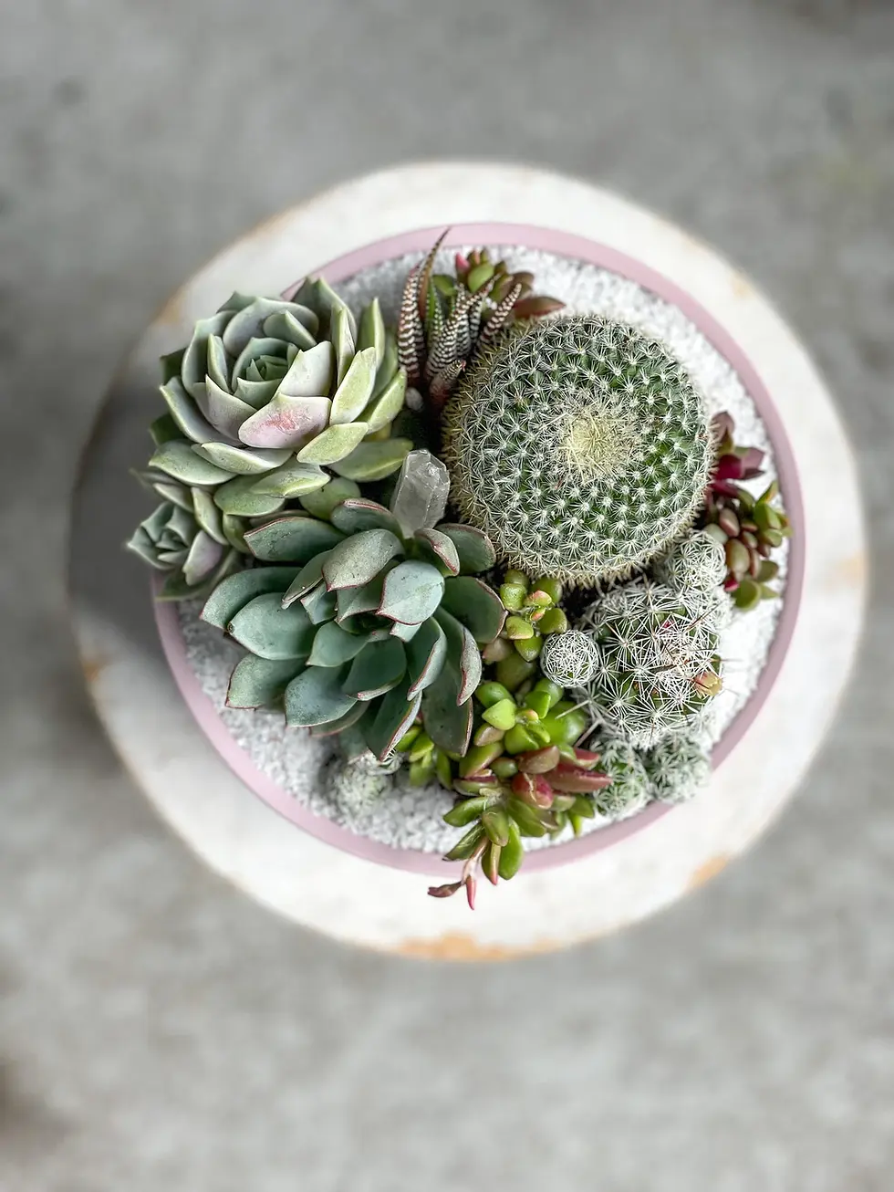 Thumbnail: Chic Desertscape Arrangement