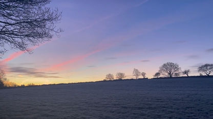 Cold February Morning