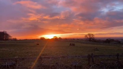Radiant Sunrise