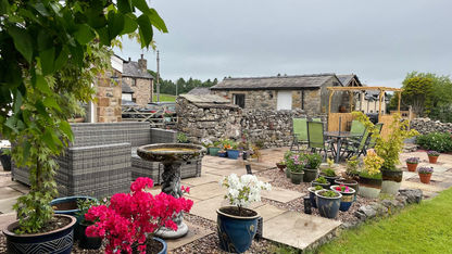 Perked Up