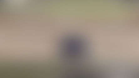 I Saw A Bear