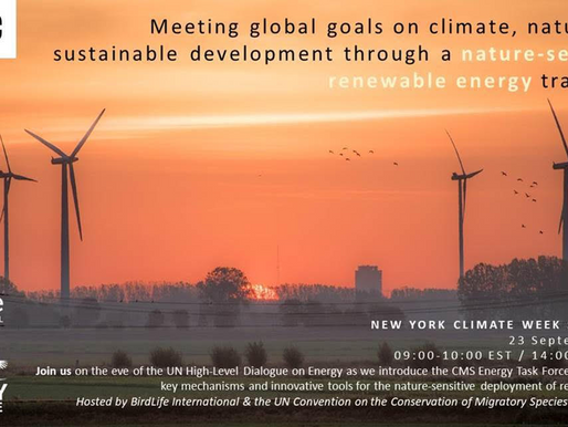 23 September 2021 - Energy Task Force, Climate Week NYC event