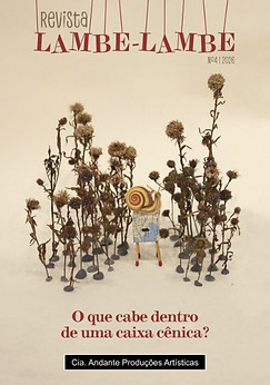 Captura de tela 2026-04-18 111328.jpg