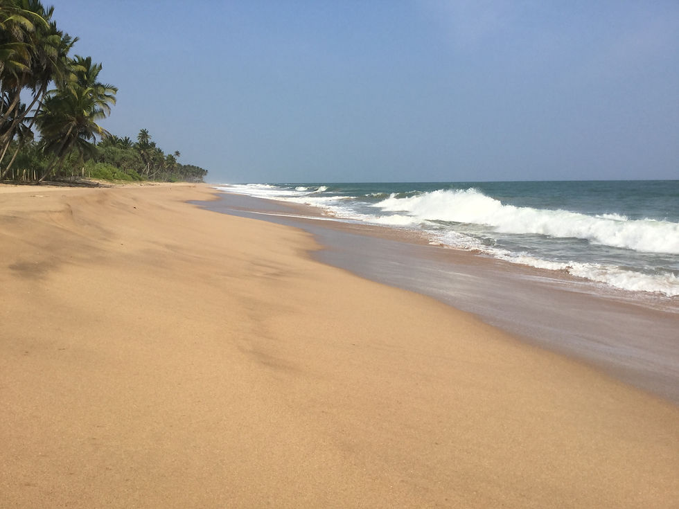 Beach