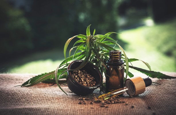 Why You Must Buy the Medical Marijuana