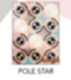 Pole Star: A Modern New York Beauty