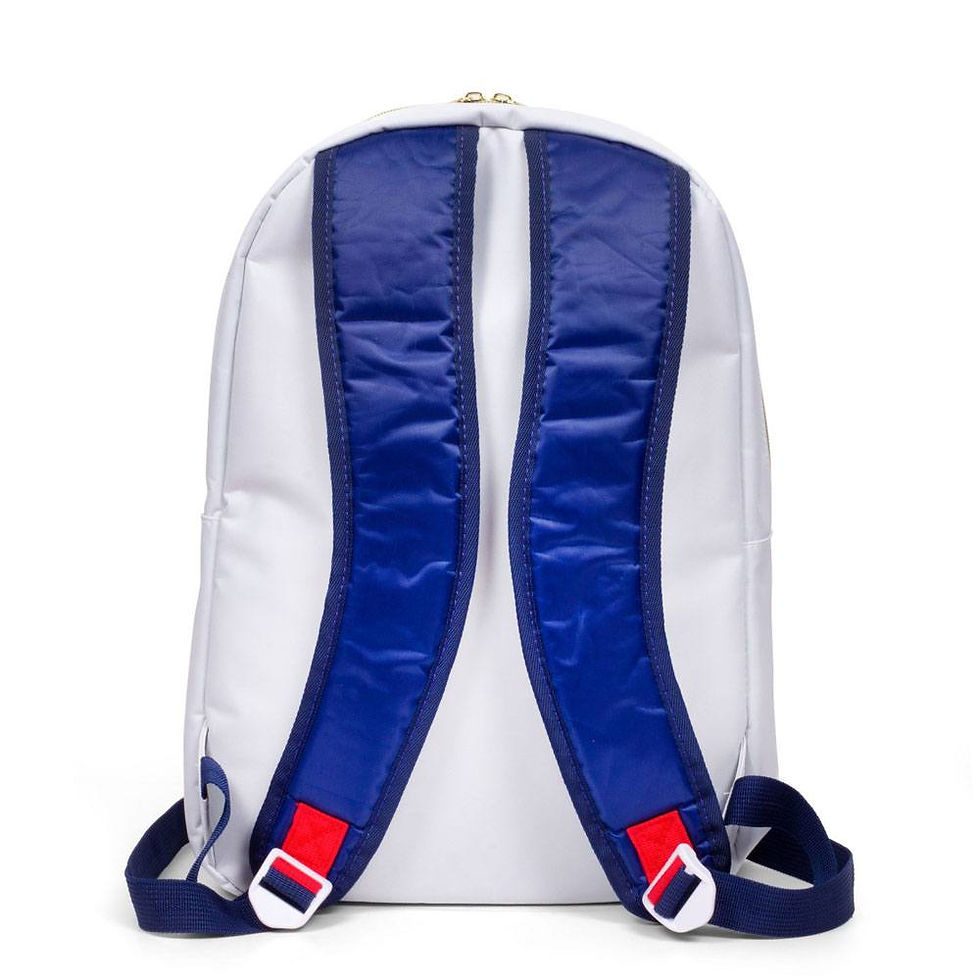 Miniature : NASA sac à dos Logo