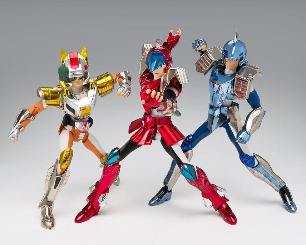 Miniature : Saint Cloth Myth Steel Saint Landcloth Daichi (Revival)