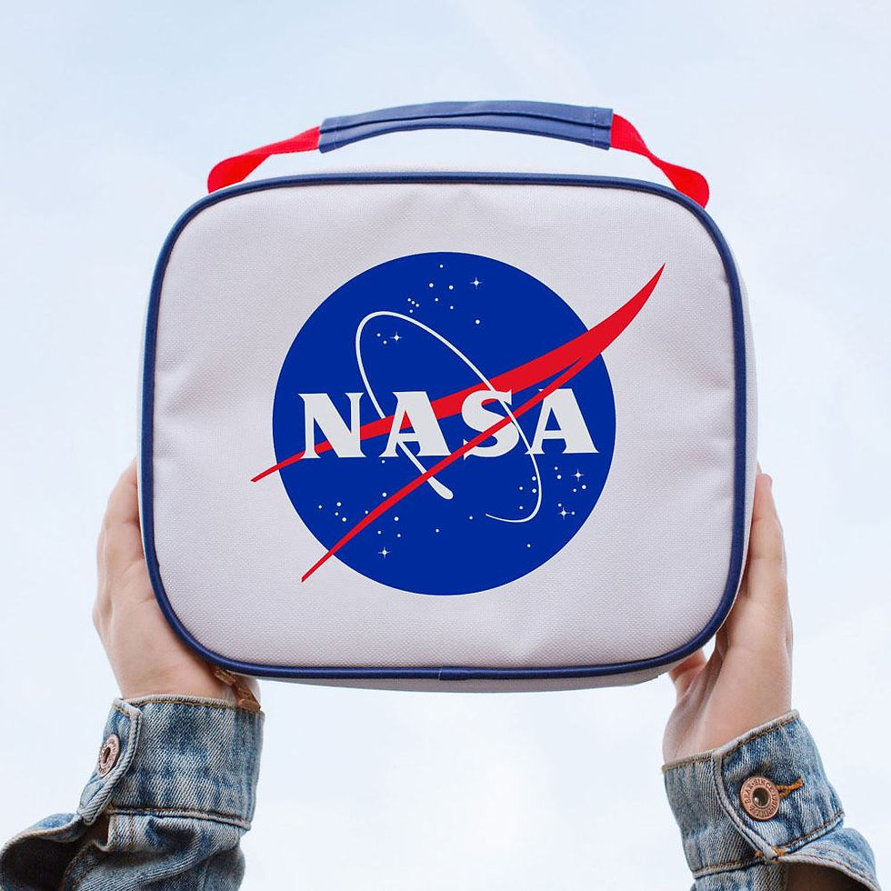 Miniature : NASA sac isotherme Logo