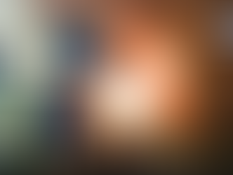 HULLS PLATERS TO FINLAND