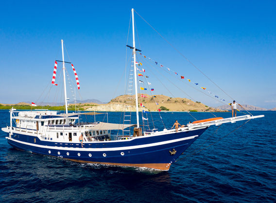 Drone shot of MSY Seahorse cruising